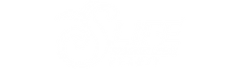 S Li**