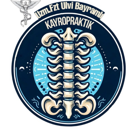 Kayropraktik Fizyoterapi Manuel Terapi